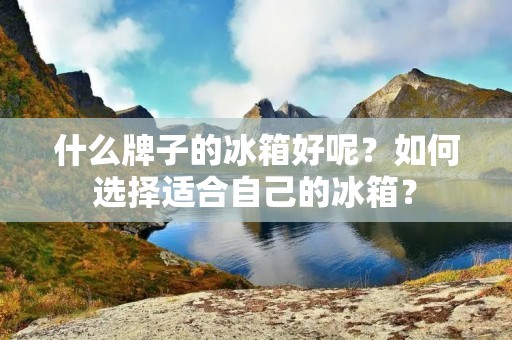 什么牌子的冰箱好呢?如何选择适合自己的冰箱? 什么牌子的冰箱好呢?如何选择适合自己的冰箱?