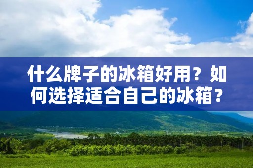 什么牌子的冰箱好用?如何选择适合自己的冰箱? 什么牌子的冰箱好用?如何选择适合自己的冰箱?