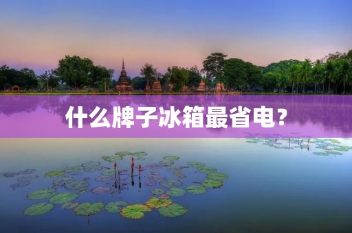 什么牌子冰箱最省电？