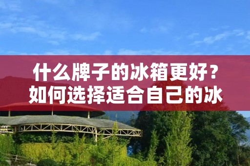 什么牌子的冰箱更好?如何选择适合自己的冰箱? 什么牌子的冰箱更好?如何选择适合自己的冰箱?