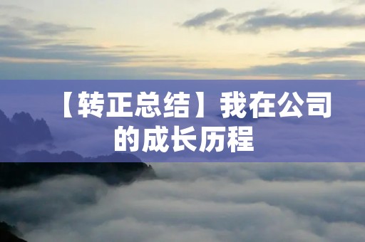 【转正总结】我在公司的成长历程