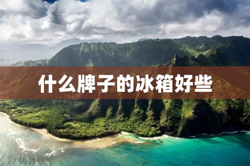 什么牌子的冰箱好些：如何选择一台优质的冰箱
