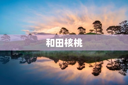 和田核桃:一颗食品与文化的结合 和田核桃:一颗食品与文化的结合