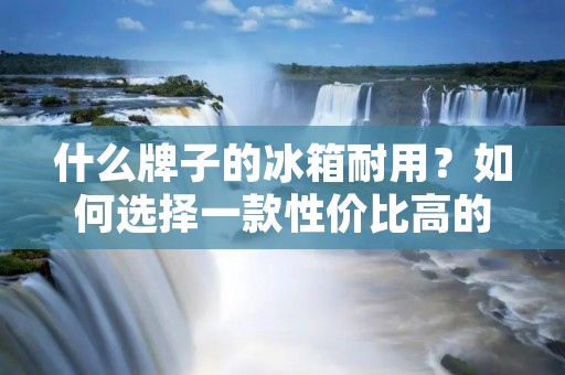 什么牌子的冰箱耐用?如何选择一款性价比高的冰箱? 什么牌子的冰箱耐用?如何选择一款性价比高的冰箱?