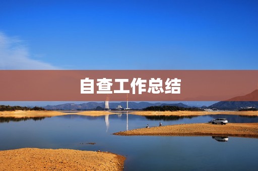 自查工作总结:发现问题,完善管理