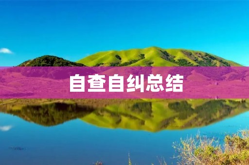 自查自纠总结:建立自我监督机制,提高工作效率