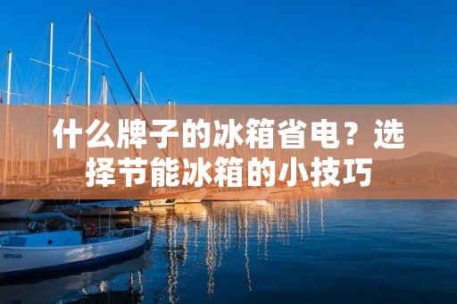 什么牌子的冰箱省电？选择节能冰箱的小技巧