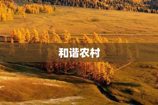 和谐农村:实现农村现代化的关键 和谐农村:实现农村现代化的关键