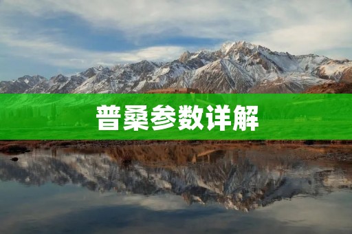 普桑参数详解:仪器性能与技术特点 普桑参数详解:仪器性能与技术特点