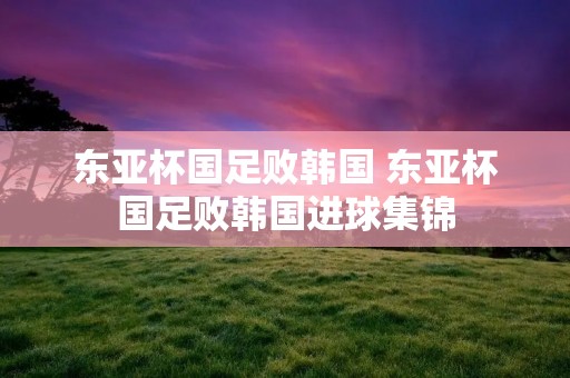 东亚杯国足败韩国 东亚杯国足败韩国进球集锦