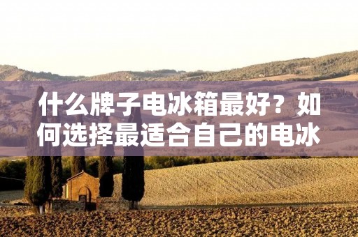 什么牌子电冰箱最好？如何选择最适合自己的电冰箱？