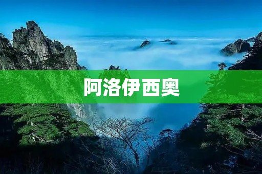 阿洛伊西奥:巴西足球中的传奇 阿洛伊西奥:巴西足球中的传奇
