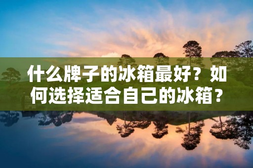 什么牌子的冰箱最好?如何选择适合自己的冰箱? 什么牌子的冰箱最好?如何选择适合自己的冰箱?