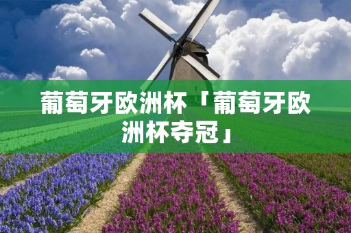 葡萄牙欧洲杯「葡萄牙欧洲杯夺冠」 葡萄牙欧洲杯「葡萄牙欧洲杯夺冠」