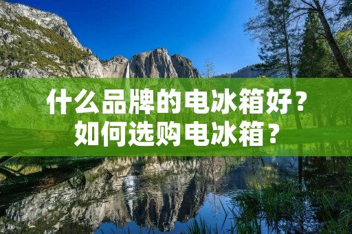 什么品牌的电冰箱好?如何选购电冰箱? 什么品牌的电冰箱好?如何选购电冰箱?