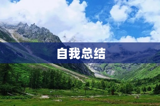 自我总结:反思过去,展望未来