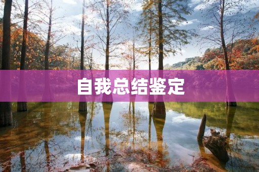 自我总结鉴定:探寻个人优势与不足