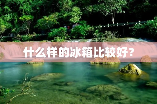 什么样的冰箱比较好？