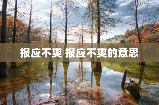 报应不爽 报应不爽的意思