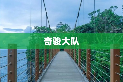 奇骏大队:用爱心和汗水,守护山林 奇骏大队:用爱心和汗水,守护山林