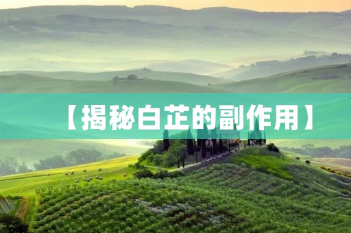 【揭秘白芷的副作用】