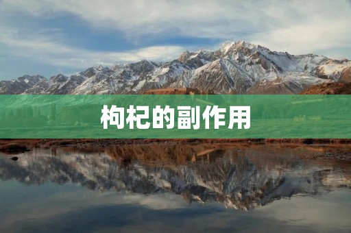 枸杞的副作用:了解这些,让你更好地使用枸杞 枸杞的副作用:了解这些,让你更好地使用枸杞