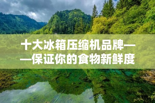 十大冰箱压缩机品牌——保证你的食物新鲜度 十大冰箱压缩机品牌——保证你的食物新鲜度
