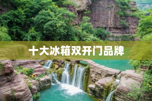 十大冰箱**门品牌:质量与实用性并重的家用电器 十大冰箱**门品牌:质量与实用性并重的家用电器