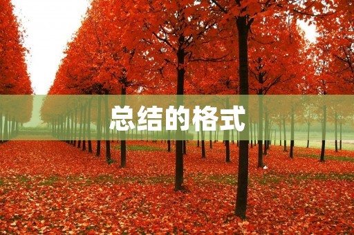 总结的格式
