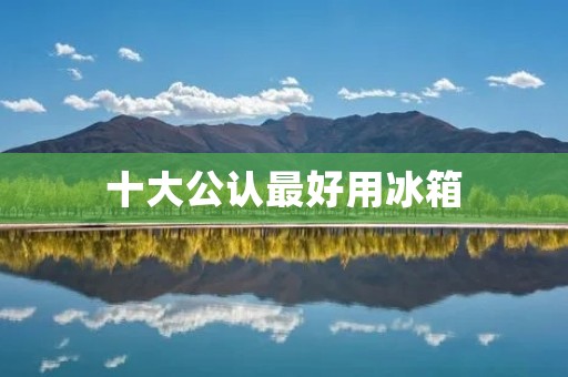 十大公认最好用冰箱：选购指南