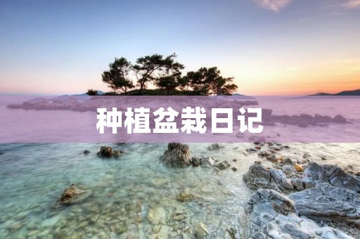 种植盆栽日记：记录你的植物成长历程