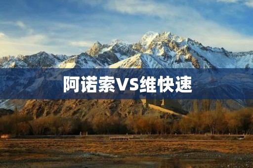 阿诺索VS维快速：一场充满激烈对抗的比赛