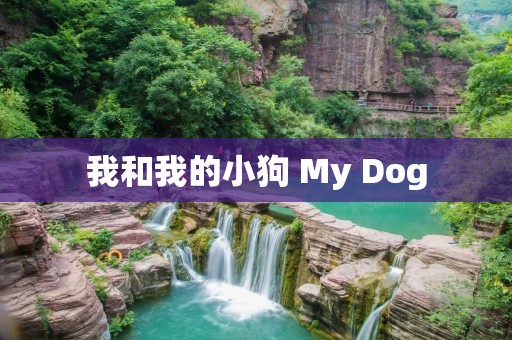 我和我的小狗 My Dog