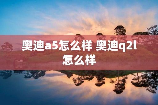 奥迪a5怎么样 奥迪q2l怎么样