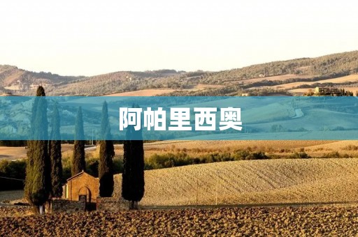 阿帕里西奥：一位传奇的足球教练