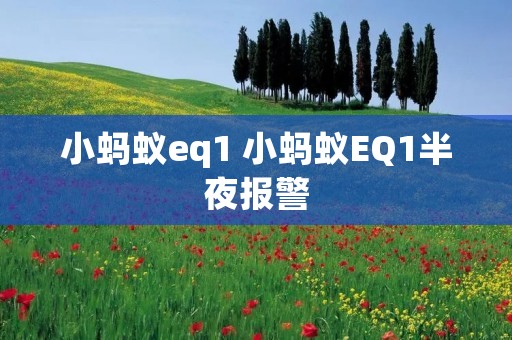 小蚂蚁eq1 小蚂蚁EQ1半夜报警