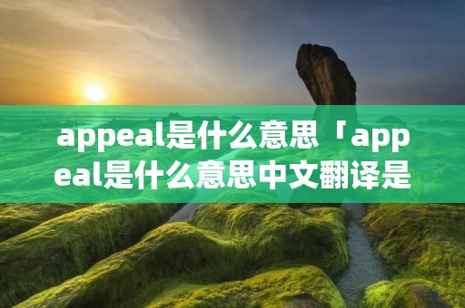 appeal是什么意思「appeal是什么意思中文翻译是什么意思啊了」
