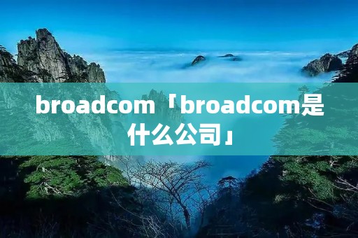 broadcom「broadcom是什么公司」