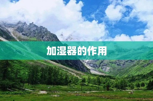 加湿器的作用：让你的家更舒适