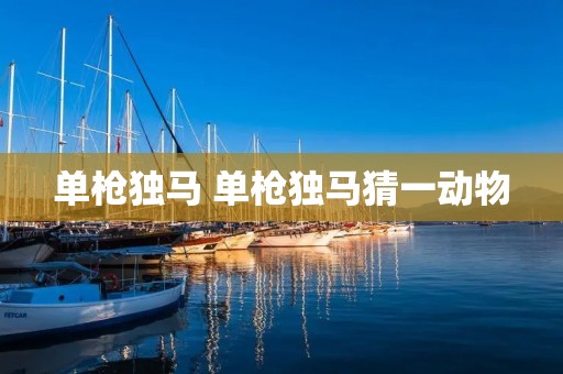 单枪独马 单枪独马猜一动物