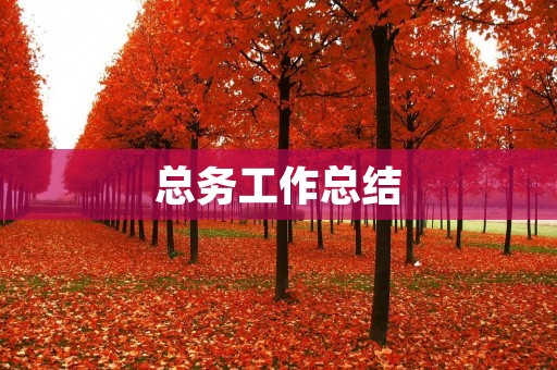 总务工作总结