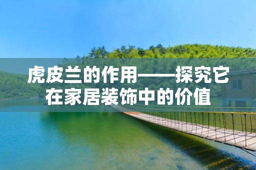 虎皮兰的作用——探究它在家居装饰中的价值 虎皮兰的作用——探究它在家居装饰中的价值