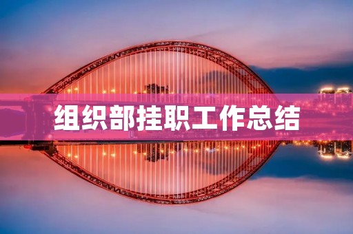 组织部挂职工作总结