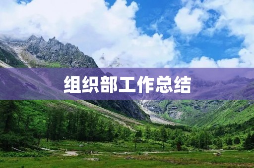 组织部工作总结:弘扬团结拼搏精神,推动组织建设