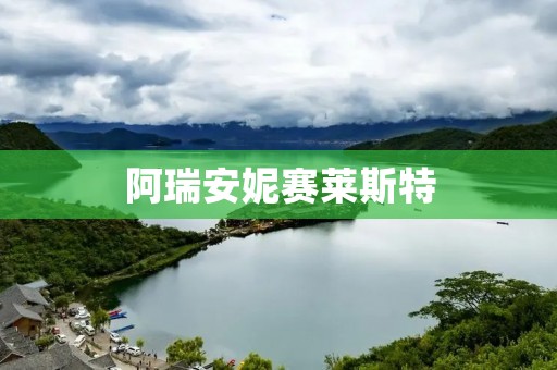阿瑞安妮赛莱斯特:独特的艺术品牌