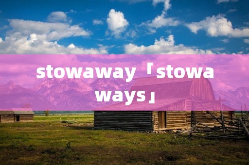 stowaway「stowaways」