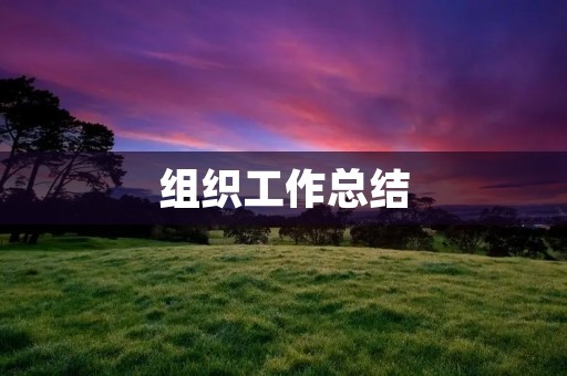 组织工作总结