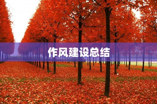 作风建设总结:不断提高干部作风水平