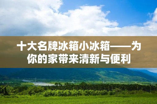 十大名牌冰箱小冰箱——为你的家带来清新与便利