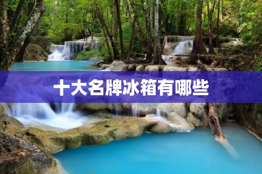 十大名牌冰箱有哪些 十大名牌冰箱有哪些